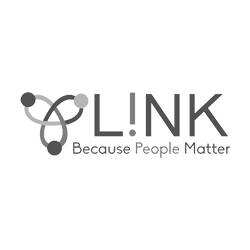 link logo